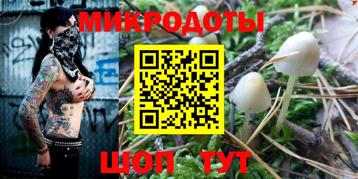 дарнет шоп  Вход с VPN  Кольчугино  Галлюциногенные грибы ЛСД 